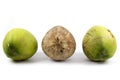 Juxtapose - Three of Coconut with Differences brown in Middle Royalty Free Stock Photo