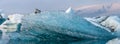 JÃÂ¶kulsÃÂ¡rlÃÂ³n glacier lagoon, Iceland