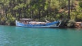 Abandoned Old Historic Wooden Boat on Sea at Edge of Forest