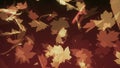 4k abstract autumn background, brown orange and yellow maple leaves silouhette