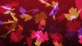 4k abstract autumn background, red purple and yellow maple leaves silouhette