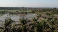 4K aerial flying drone video of rice field full of water. Bali island.