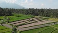 4K aerial flying video of young couple riding scooter on the rice field close to a greeat mountain volcano Agung. Bali Royalty Free Stock Photo