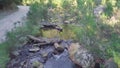 4k aerial of rocky water stream flowing through green summer mountain forest