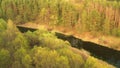 4K Aerial View Of Pines Growing On Coast Near Small Marsh Bog Swamp In Spring Season Royalty Free Stock Photo