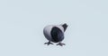 4k alone Pigeon eating something on ground,bird silhouette.