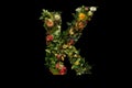 K alphabet letter made out of leaves plants and flowers isolated on black background illustration generative ai Royalty Free Stock Photo