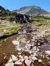 4k Amazing Rocky Mountain glacier stream waterfall in the summer with flowers