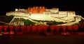 4k busy traffic in front of the Potala at night in Lhasa,Tibet.