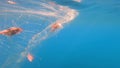 Caught Fish in Net Hanging From Boat Under Sea