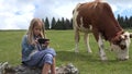 4K Cowherd Child Playing Tablet, Pasturing Cows, Girl Using Smart Phone, Cattle