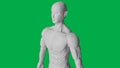 8K 3D Rendered Muscular anatomical Human/AI Mannequin Sculpture model on Green Screen Background Upper body 45 angle view