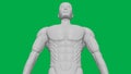 8K 3D Rendered Muscular anatomical Human/AI Mannequin Sculpture model on Green Screen Background Upper body Bottom-Up view