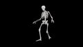 Skeleton tippy toe walking