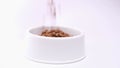 4k Dry food for kittens or puppies is poured into large white bowl on white background. Pets feed