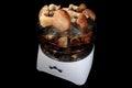 4K. Drying mushrooms in Electric driers on the black background, timelapse (Boletus edulis),