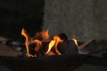 8k Fire flames With Coal bonfire Camping Fire