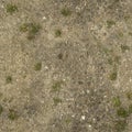 8K grass path Diffuse and Albedo map for 3d materials Royalty Free Stock Photo