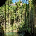 K-Kil Cenote, Chichen Itza, Mexico Royalty Free Stock Photo