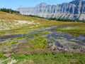 4k Rocky Mountain stream geological formation with flowers in the summer Royalty Free Stock Photo