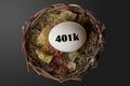 401K Nest Egg. Royalty Free Stock Photo