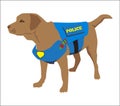 K9 police dog wearing badge. Labrador retriever Custom Drug detection dog. Cartoon Training of a police concept. Cute professional