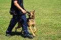 K9 police officer with his dog Royalty Free Stock Photo