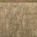 8K reed roof Diffuse and Albedo map for 3d materials