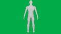 8K 3D Rendered Muscular anatomical Human/AI Mannequin Sculpture model on Green Screen Background Full body Back view