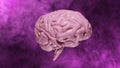 8K Resolution 3D rendered Realistic Brain with Light Pink tinted on Abstract Pink Background