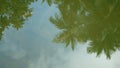 4K. shadow of coconut palm tree leaf reflec on clear water surface. summer tropical background