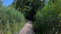 4K. Subjective shot in motion of a person walking in Plitvice Lakes