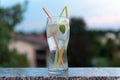 Timelapse of ice melting in a glass of sparkling water with mint and lemon at sunset, on the terrace of a summer bar Royalty Free Stock Photo