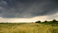 4K video timelpase in summer time , summer storm clouds and rain over crop fields