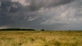 4K video timelpase in summer time , summer storm clouds and rain over crop fields