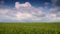 4K video timelpase in summer time , summer storm clouds and rain over crop fields