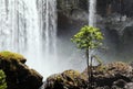 K50 Waterfall in VietnamÃ¢â¬â¢s Central Highland