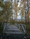  Bridge to Autumn