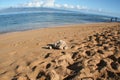 Ka`anapali Beach Maui Hawaii During October Royalty Free Stock Photo