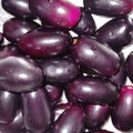 Kaala jamun fruits