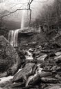 Kaaterskill Falls Lost in the Fog