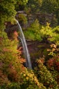 Kaaterskill falls water plunging into the woods Royalty Free Stock Photo