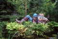 The sleeping giant in the fairy tale Little Thumb in the fairytale forest in the theme park Efteling