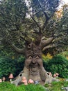 Kaatsheuvel / The Netherlands - November 03 2016: Speaking fairytale tree in Theme Park Efteling Royalty Free Stock Photo