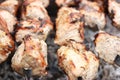 Kababs on skewers on the grill closeup Royalty Free Stock Photo