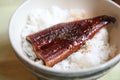 Kabayaki eel on rice, japanese style Royalty Free Stock Photo