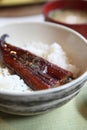 Kabayaki eel on rice, japanese food Royalty Free Stock Photo