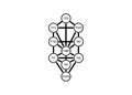 Kabbalah, Tree Of Life. Ancient Jewish Symbol Sephirot tree of life kabbalah. Sacred geometry, Simplified sign. Main glyph