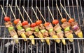 Kabob on BBQ grill