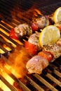 Kabob on BBQ grill Royalty Free Stock Photo